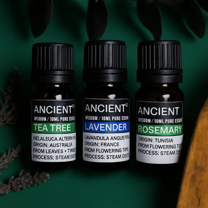 Set of Lavender, Tea Tree & Rosemary Essential Oils - 10ml Each