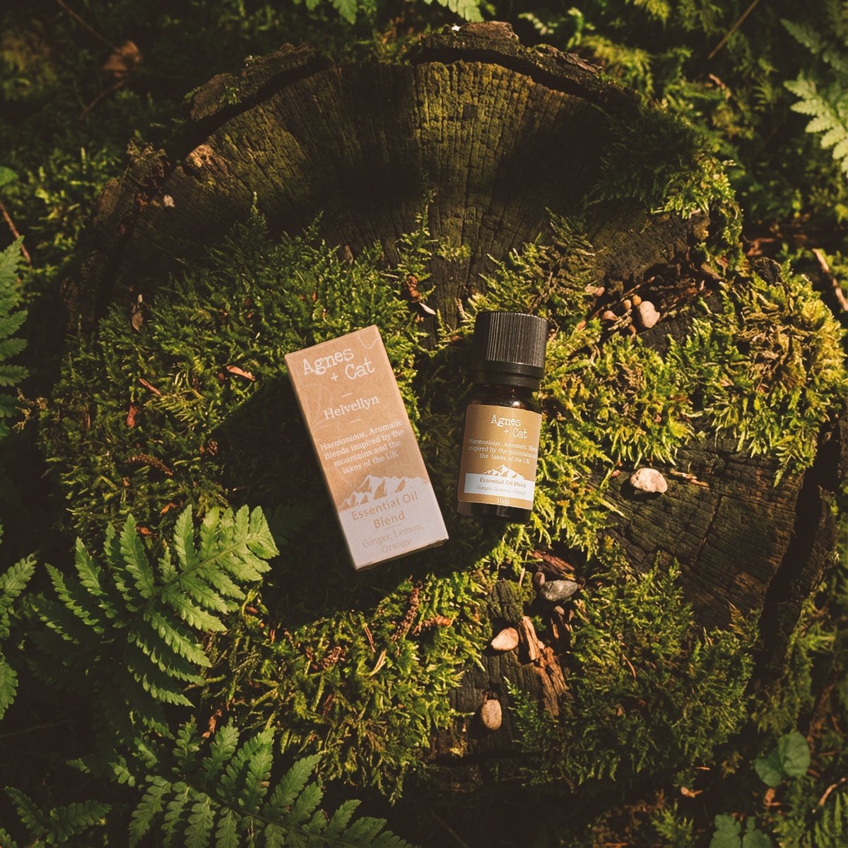 Agnes + Cat Essential Oil Blend - Cat Bells - Lime, Tangerine & Peppermint